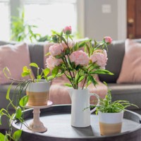 Flores frescas y plantas de interior: Cómo decorar tu hogar con un toque de frescura y estilo